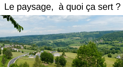 Illustration - "Le paysage, à quoi ça sert ?"